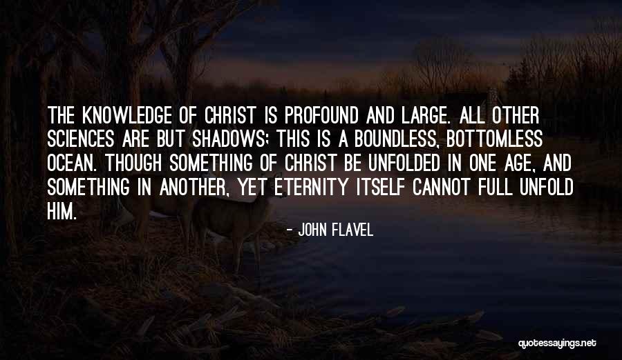Tough Negotiations Quotes By John Flavel Tough Negotiations Quotes By John Flavel