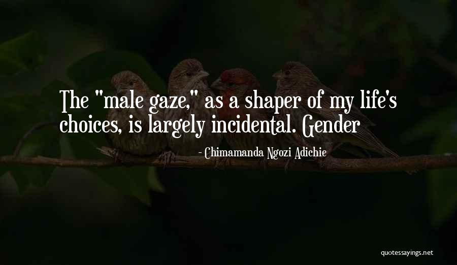 Toujeo Quotes By Chimamanda Ngozi Adichie Toujeo Quotes By Chimamanda Ngozi Adichie