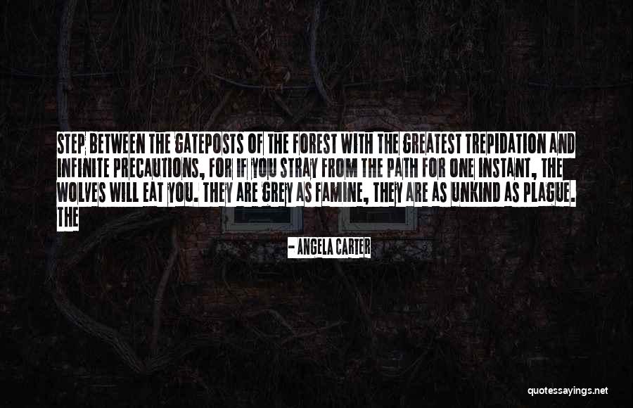 Toulas Silverlakes Quotes By Angela Carter Toulas Silverlakes Quotes By Angela Carter