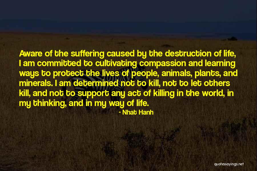 Tounkara Senegal Ca Quotes By Nhat Hanh Tounkara Senegal Ca Quotes By Nhat Hanh