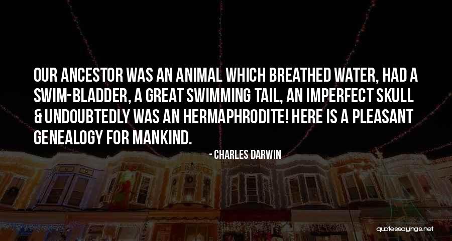 Tourable Quotes By Charles Darwin Tourable Quotes By Charles Darwin