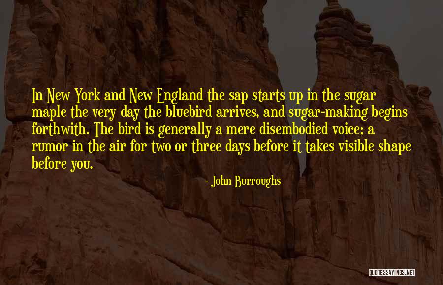 Tourniquets For First Responders Quotes By John Burroughs Tourniquets For First Responders Quotes By John Burroughs