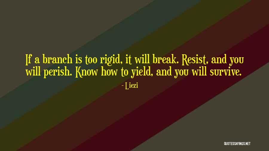 Touro College Quotes By Liezi Touro College Quotes By Liezi