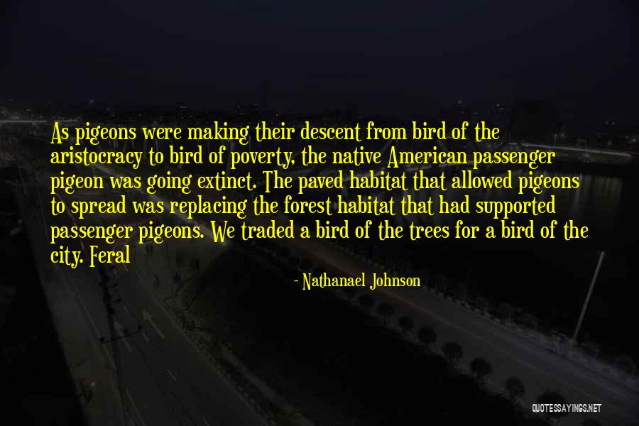 Touro College Quotes By Nathanael Johnson Touro College Quotes By Nathanael Johnson