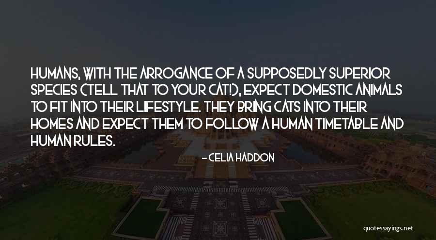 Tourville Monarch Quotes By Celia Haddon Tourville Monarch Quotes By Celia Haddon