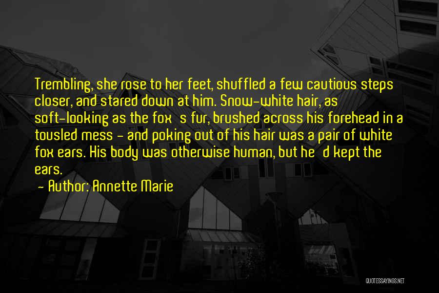 Tousled Hair Quotes By Annette Marie