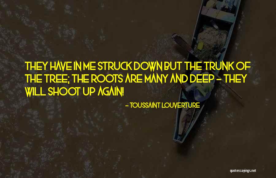 Toussaint Quotes By Toussaint Louverture