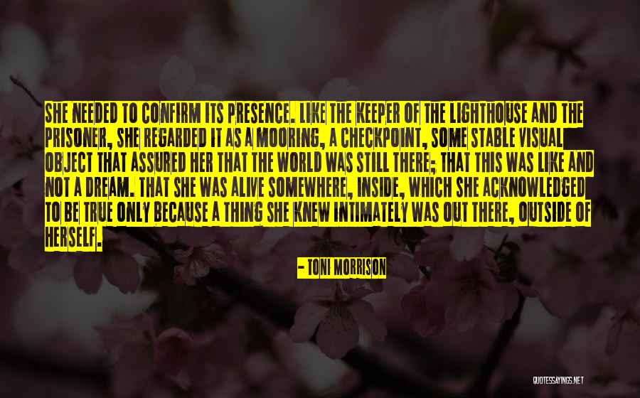 Tovmasyan Arthur Quotes By Toni Morrison Tovmasyan Arthur Quotes By Toni Morrison