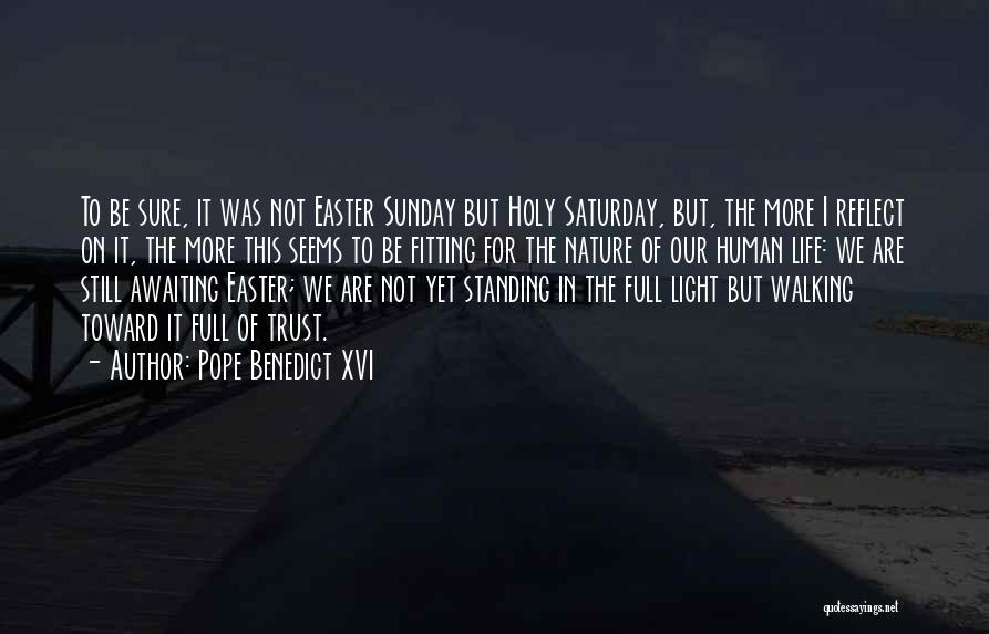 Toward The Light Quotes By Pope Benedict XVI