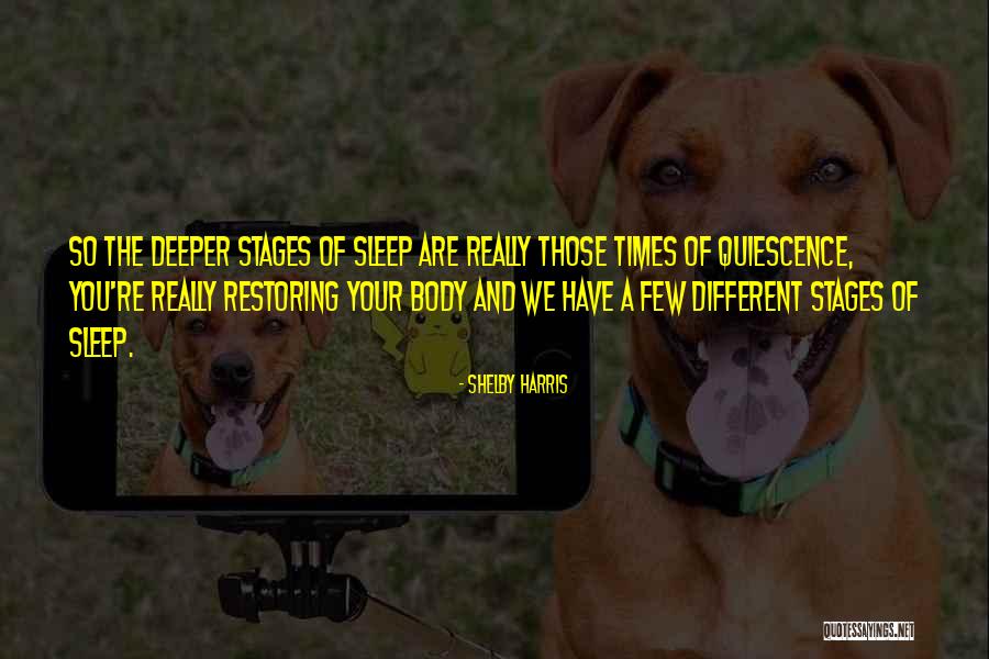 Towel Made In Pakistan Quotes By Shelby Harris Towel Made In Pakistan Quotes By Shelby Harris