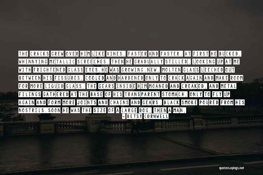 Towered Over Quotes By Betsy Cornwell Towered Over Quotes By Betsy Cornwell