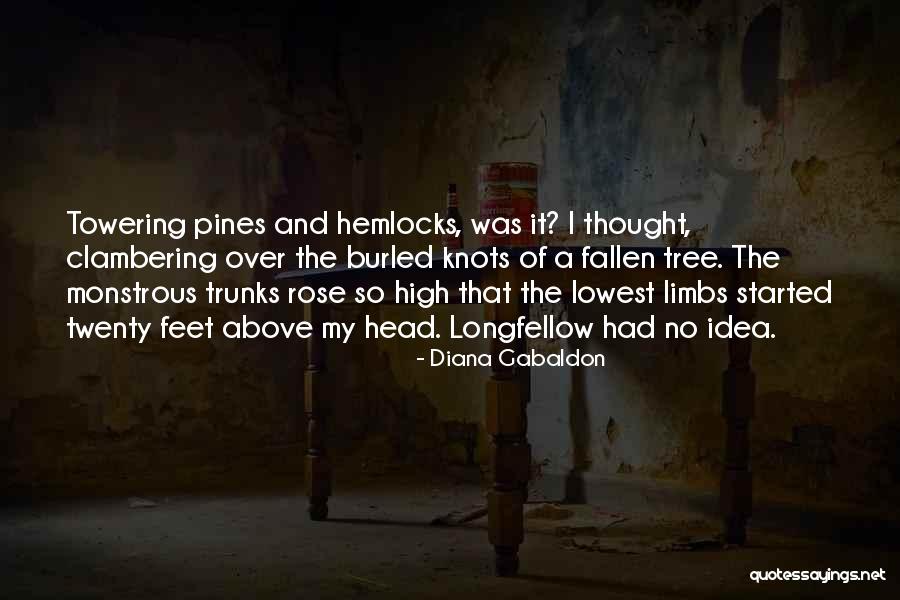 Towering Pines Quotes By Diana Gabaldon Towering Pines Quotes By Diana Gabaldon