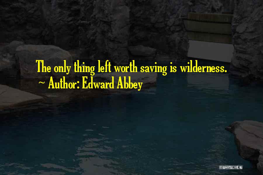 Towerish Quotes By Edward Abbey