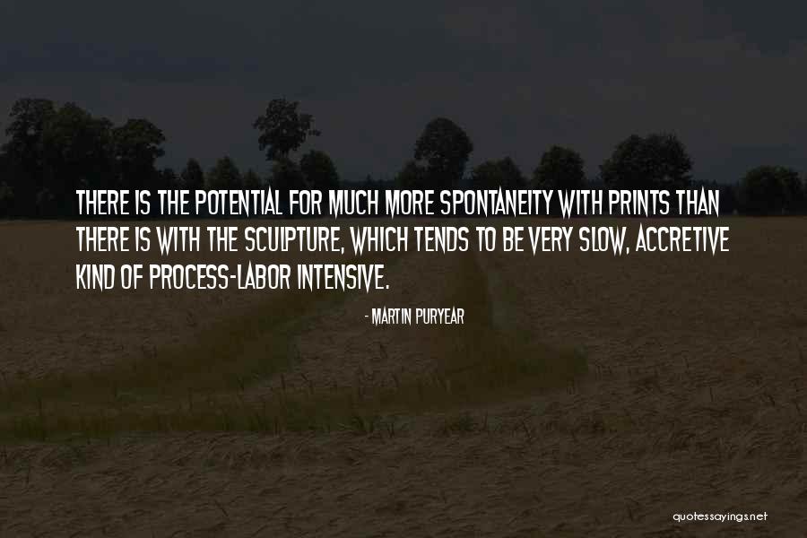 Towhee Call Quotes By Martin Puryear Towhee Call Quotes By Martin Puryear