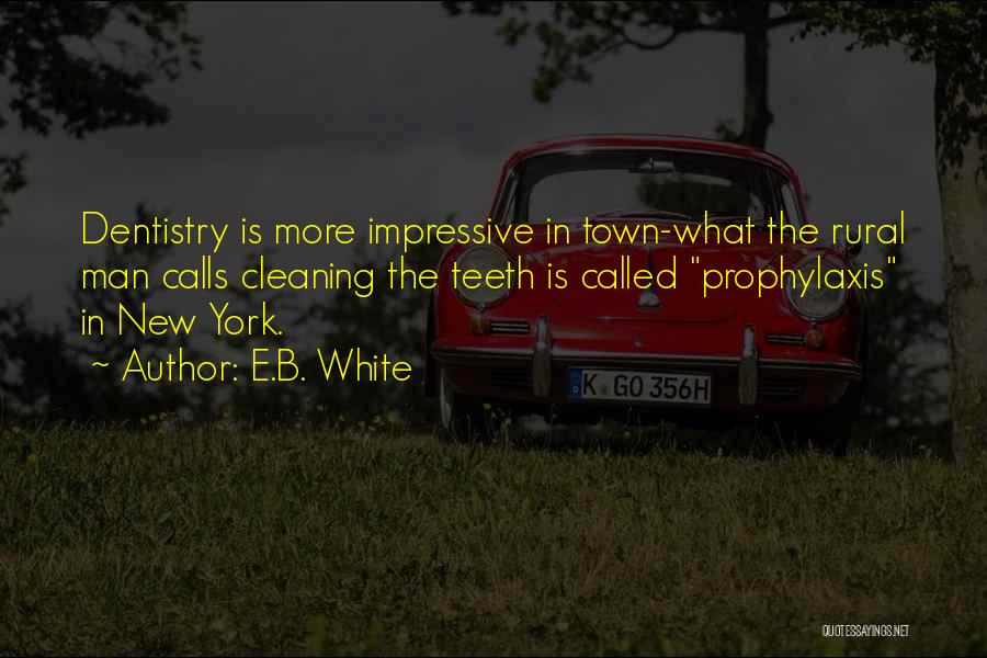 Town Quotes By E.B. White