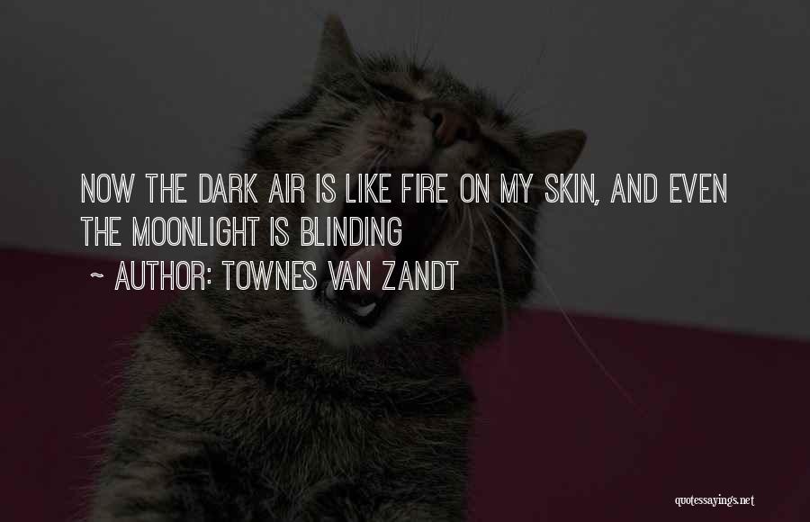 Townes Van Zandt Quotes 1055029