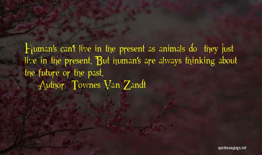 Townes Van Zandt Quotes 1395420