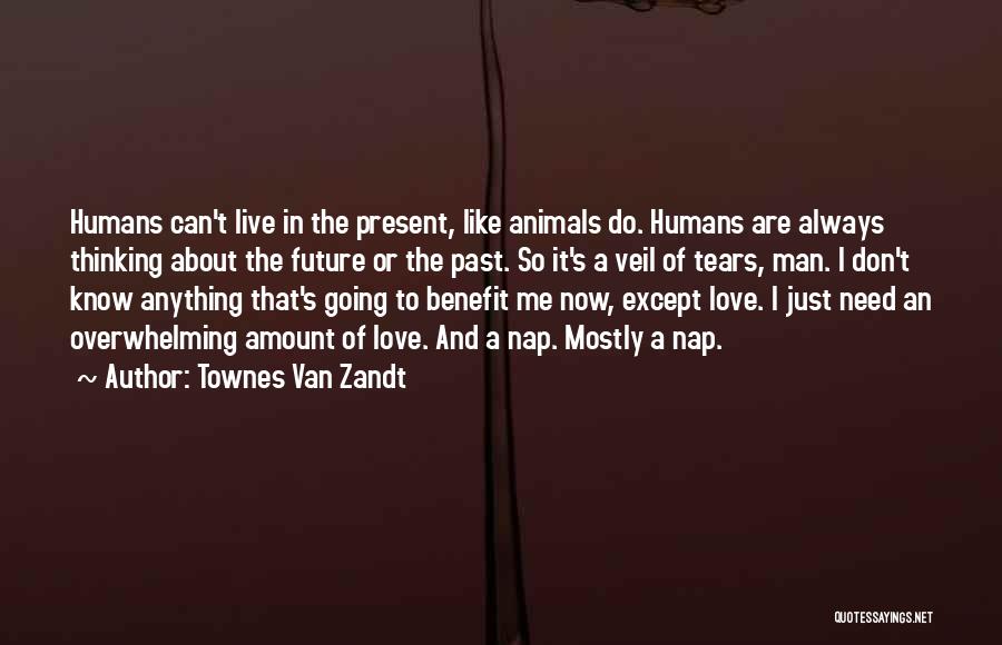 Townes Van Zandt Quotes 861405