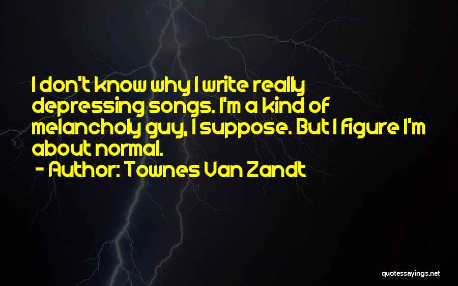 Townes Van Zandt Quotes 932246