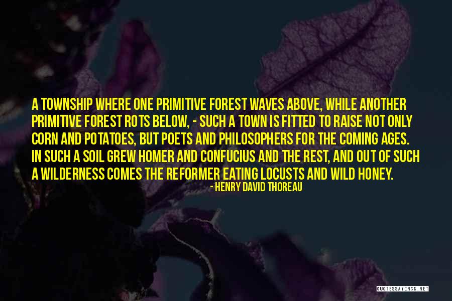Township Quotes By Henry David Thoreau Township Quotes By Henry David Thoreau