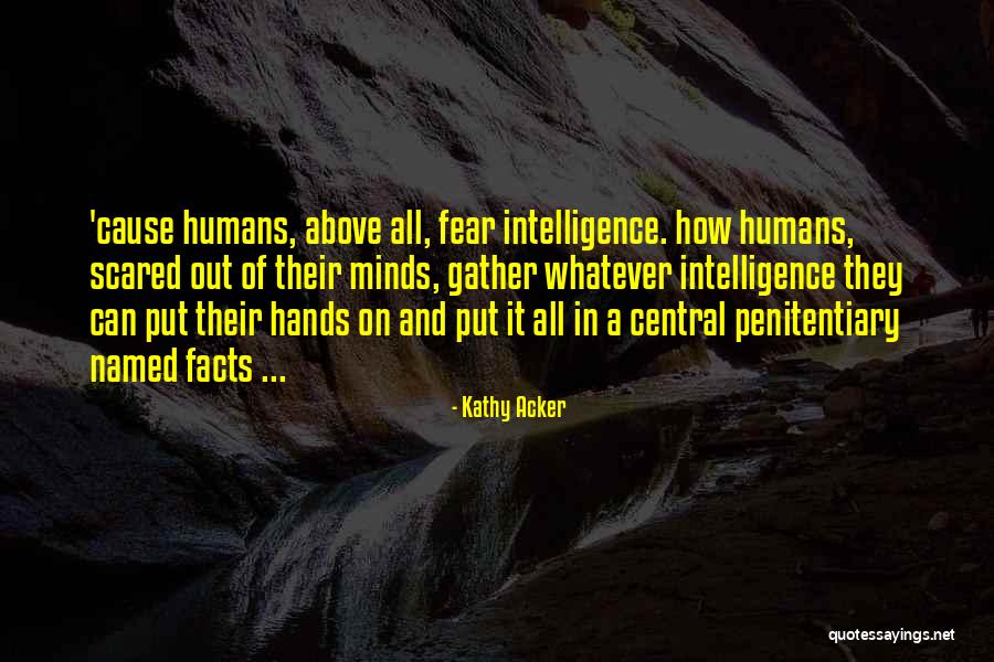 Townsmen Quotes By Kathy Acker Townsmen Quotes By Kathy Acker