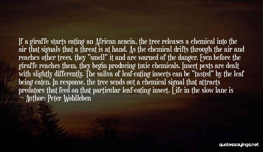 Toxic Chemicals Quotes By Peter Wohlleben