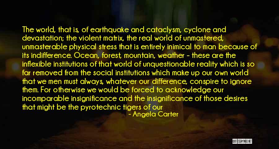 Toy Quotes By Angela Carter Toy Quotes By Angela Carter