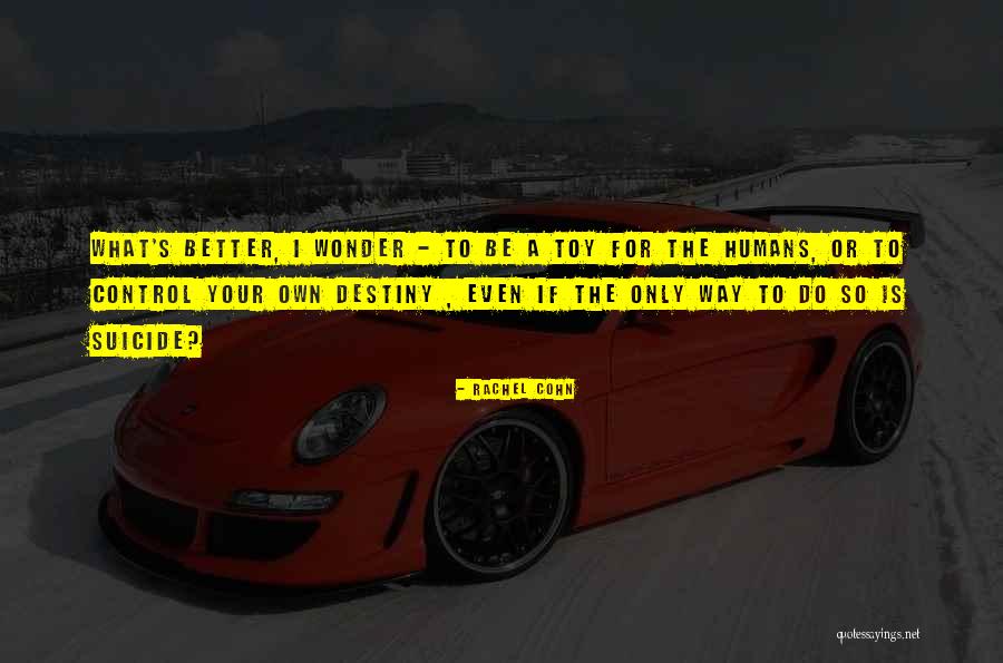 Toy Quotes By Rachel Cohn Toy Quotes By Rachel Cohn