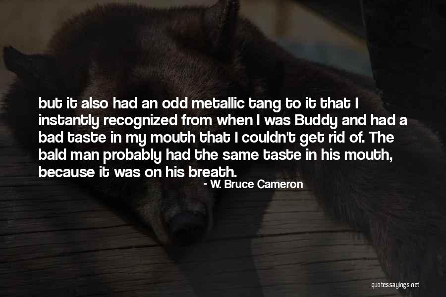 Toyland Song Quotes By W. Bruce Cameron Toyland Song Quotes By W. Bruce Cameron