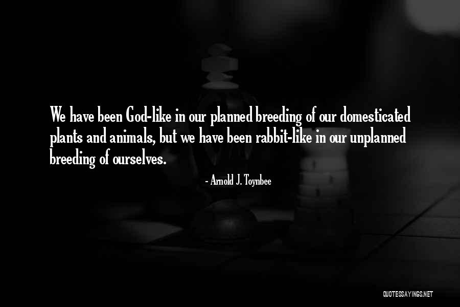 Toynbee Arnold Quotes By Arnold J. Toynbee Toynbee Arnold Quotes By Arnold J. Toynbee
