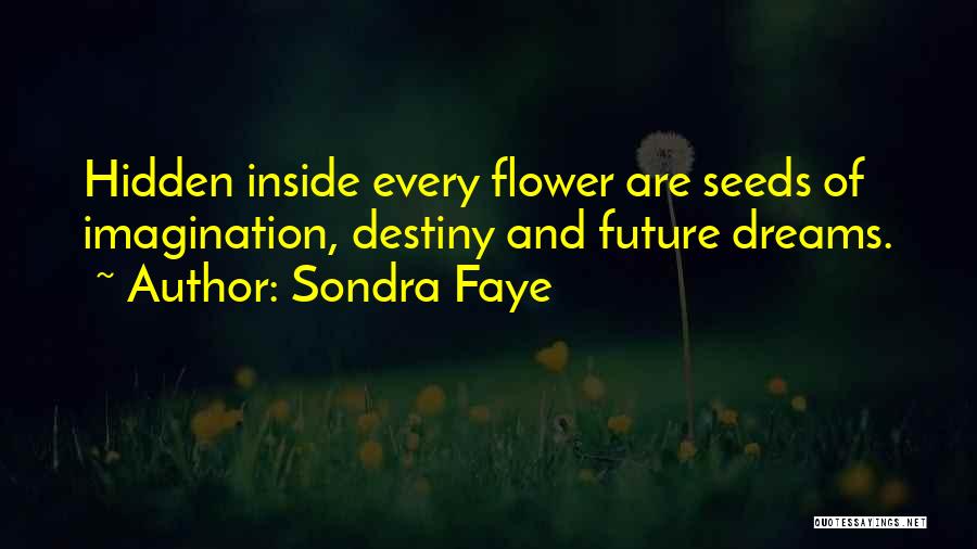 Toyooka Willow Quotes By Sondra Faye