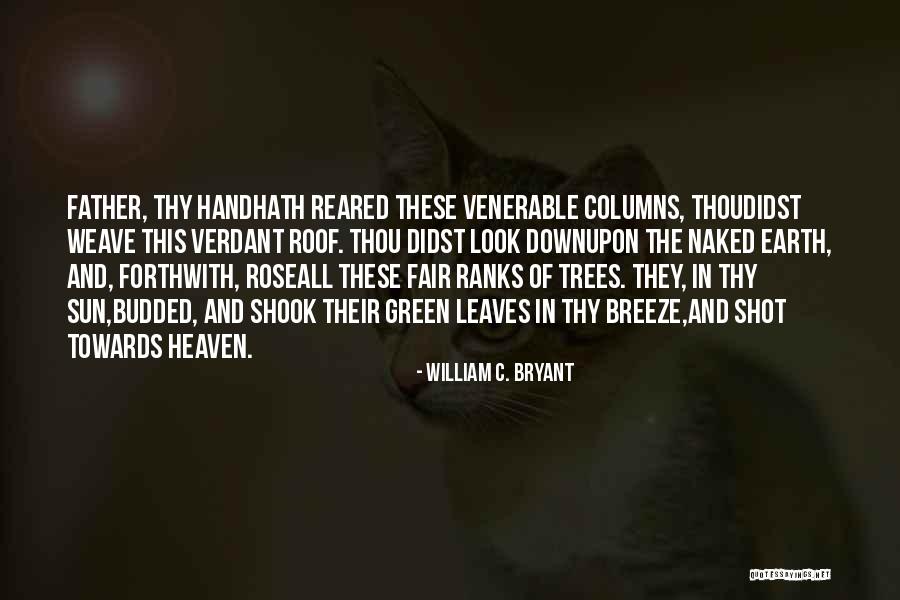 Toyoura Sand Quotes By William C. Bryant Toyoura Sand Quotes By William C. Bryant