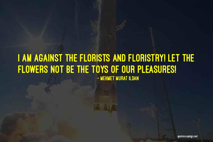 Toys Quotes By Mehmet Murat Ildan Toys Quotes By Mehmet Murat Ildan