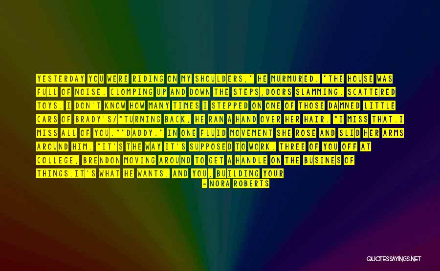 Toys Quotes By Nora Roberts Toys Quotes By Nora Roberts