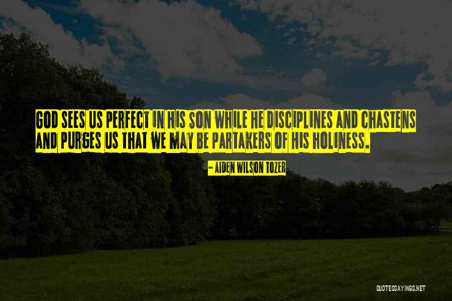 Tozer Holiness Quotes By Aiden Wilson Tozer