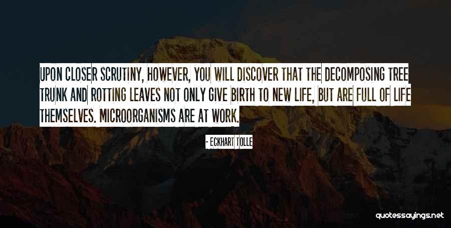 Tpsd Quotes By Eckhart Tolle Tpsd Quotes By Eckhart Tolle
