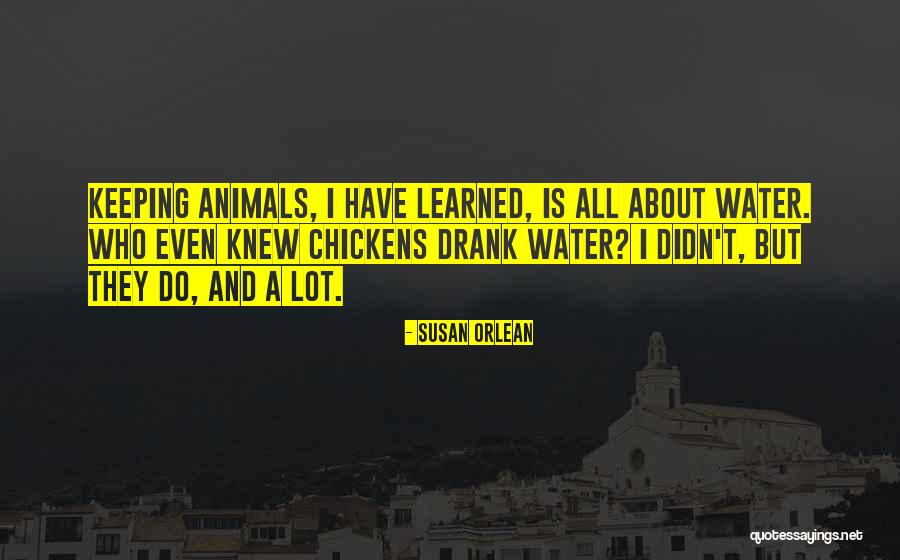 Tr24g Quotes By Susan Orlean Tr24g Quotes By Susan Orlean