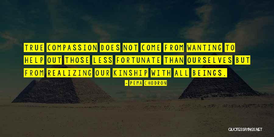 Tr43067bmn Quotes By Pema Chodron Tr43067bmn Quotes By Pema Chodron