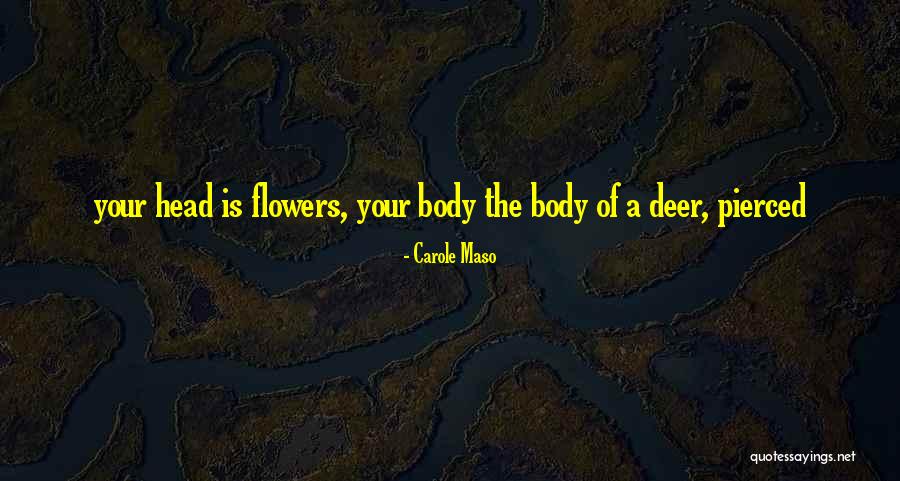 Traagheidsproduct Quotes By Carole Maso Traagheidsproduct Quotes By Carole Maso