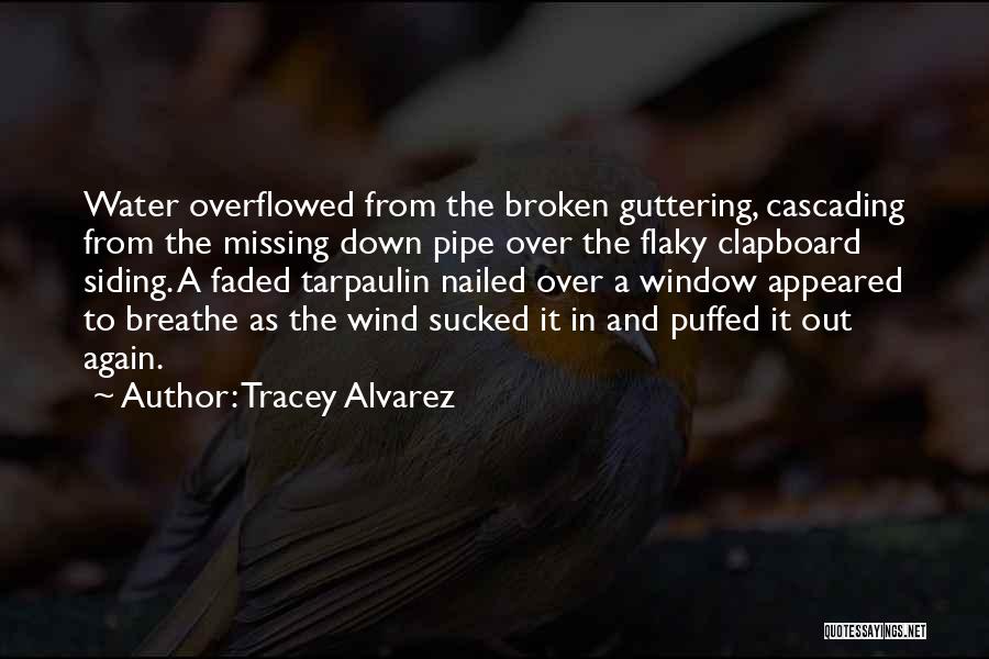 Tracey Alvarez Quotes 1200513