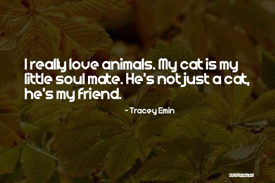 Tracey Quotes By Tracey Emin Tracey Quotes By Tracey Emin