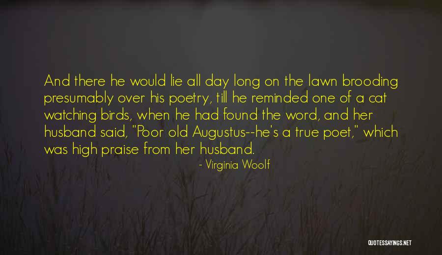 Tracii Taylor Quotes By Virginia Woolf Tracii Taylor Quotes By Virginia Woolf