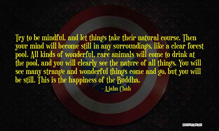 Tracimy Kosci L Quotes By Ajahn Chah Tracimy Kosci L Quotes By Ajahn Chah