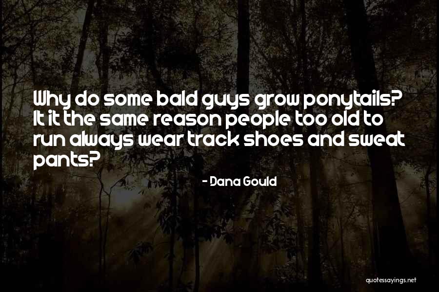 Track And Running Quotes By Dana Gould Track And Running Quotes By Dana Gould