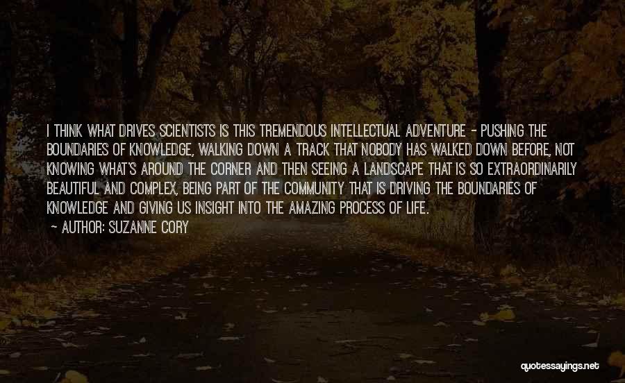 Track Quotes By Suzanne Cory