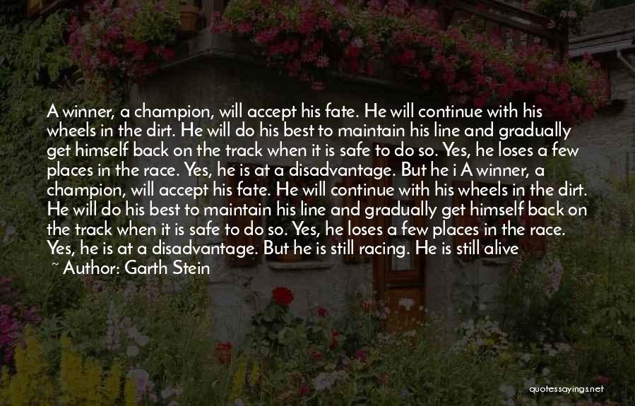 Track Racing Quotes By Garth Stein