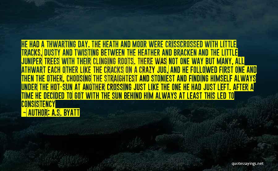 Tracks Of Life Quotes By A.S. Byatt