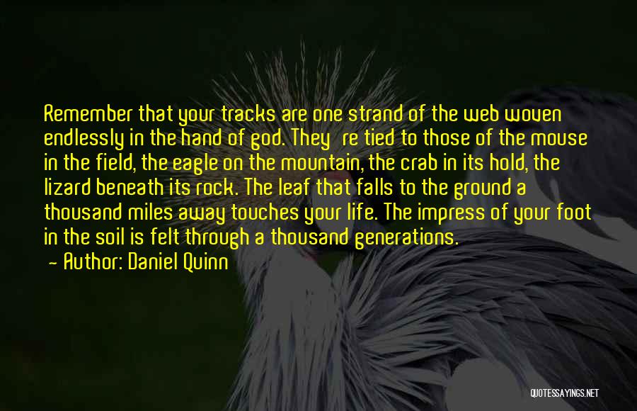 Tracks Of Life Quotes By Daniel Quinn