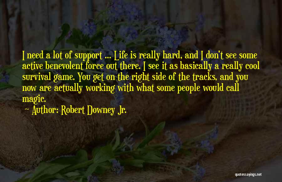 Tracks Of Life Quotes By Robert Downey Jr.