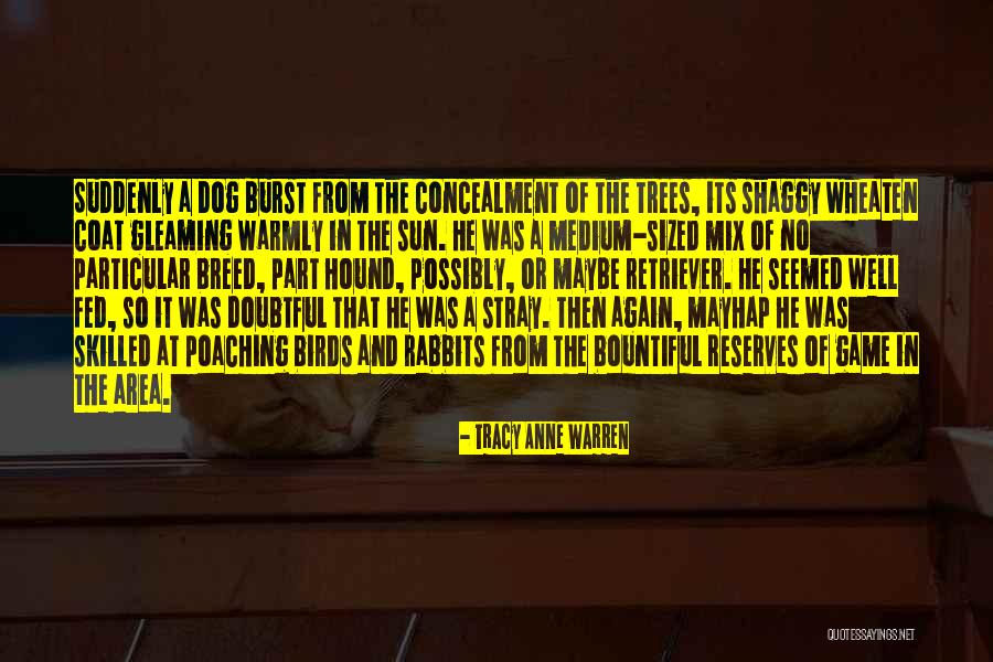 Tracy Anne Warren Quotes 334140 Tracy Anne Warren Quotes 334140